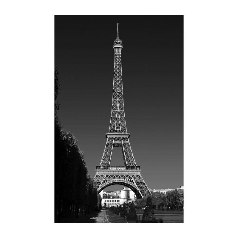 CHAMP DE MARS Wall hanging - Graphic wall hanging tapestry