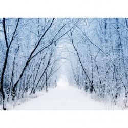 WHITE ROAD Canvas print