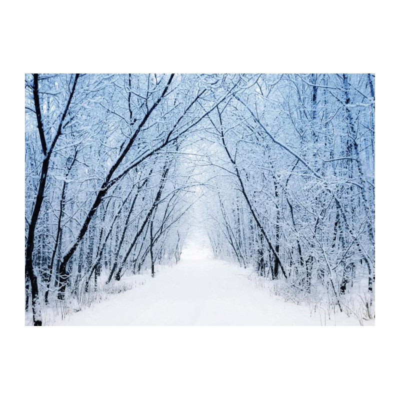 WHITE ROAD Canvas print - Canvas print for living room