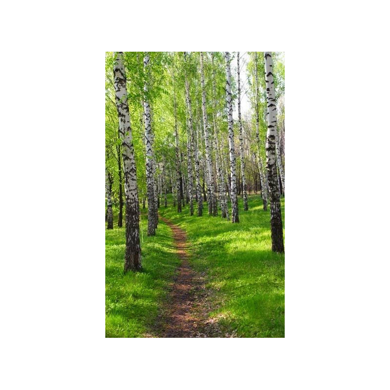 BIRCH PATH Wall hanging - Nature landscape wall hanging tapestry