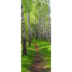 BIRCH PATH Poster