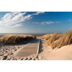 Poster CHEMIN DES DUNES