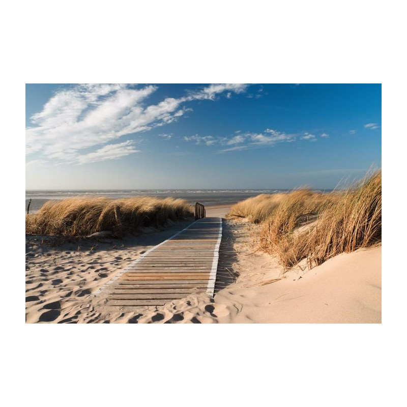 PATH OF THE DUNES Poster - Panoramic poster