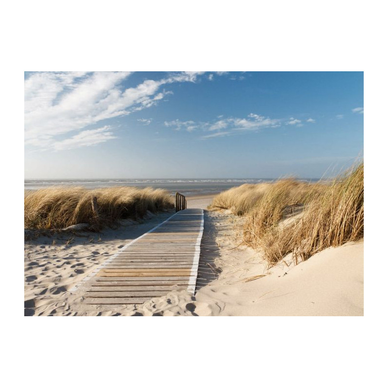 PATH OF THE DUNES Canvas print - Nature landscape