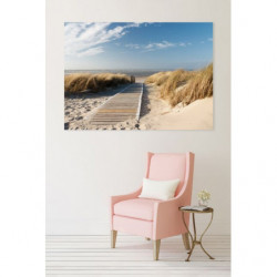 PATH OF THE DUNES  Canvas print