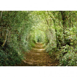 GREEN ROAD Canvas print