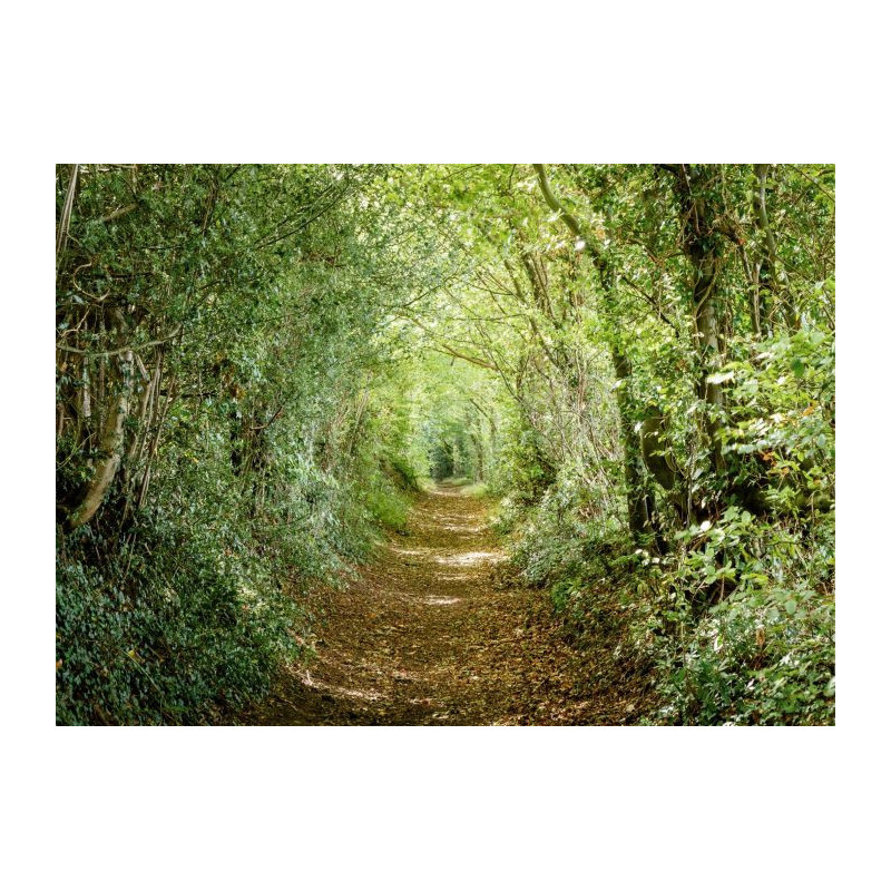 GREEN ROAD Canvas print - Nature landscape