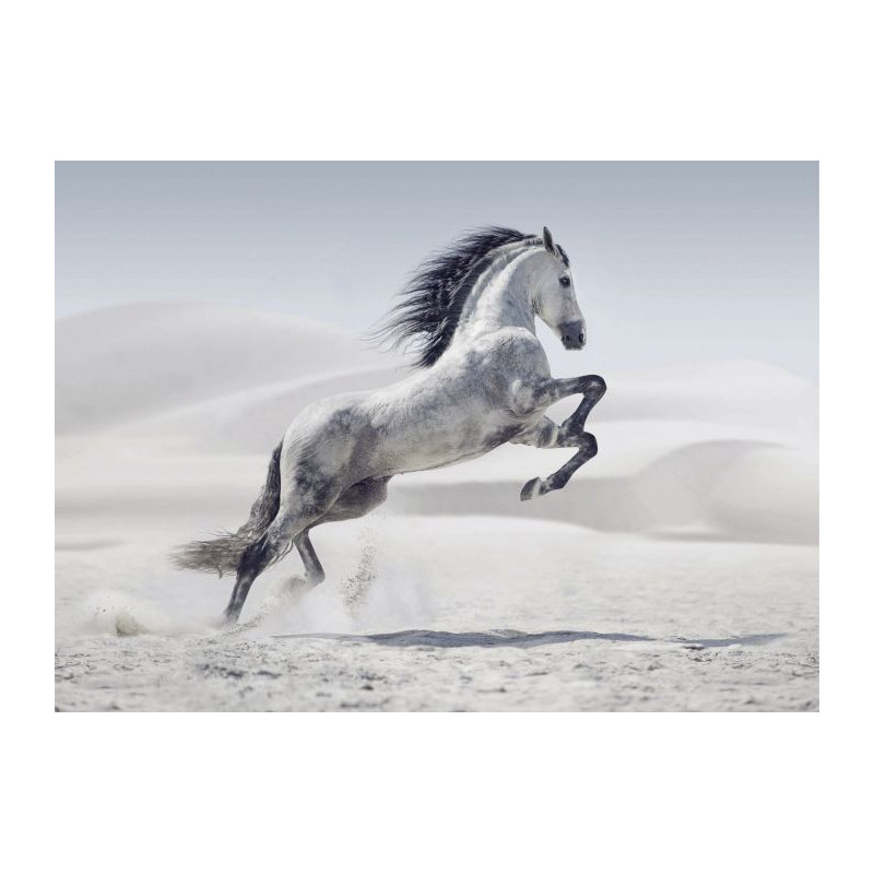 HORSE IN THE DESERT Canvas print - Xxl canvas prints