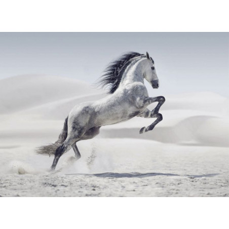 HORSE IN THE DESERT Canvas print