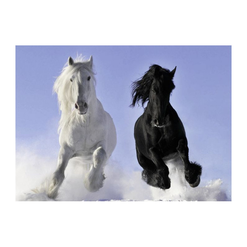 HORSES Canvas print - Wildlife