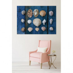 SHELL COLLECTION canvas print