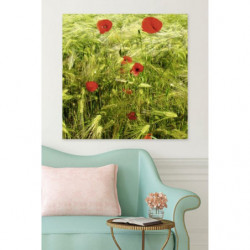 POPPIES AND BLES canvas print