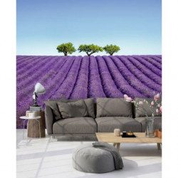 COLOUR LAVENDER poster