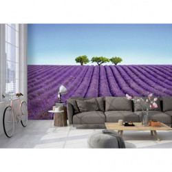 COLOUR LAVENDER wallpaper