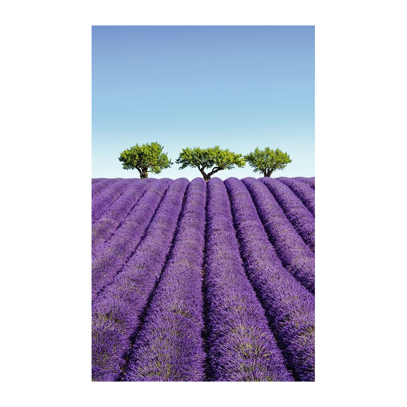 COLOUR LAVENDER wall hanging - Nature landscape wall hanging tapestry