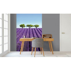 COLOUR LAVENDER wall hanging