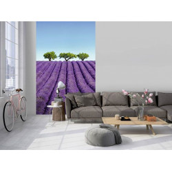 COLOUR LAVENDER wall hanging