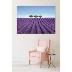 COLOUR LAVENDER canvas print