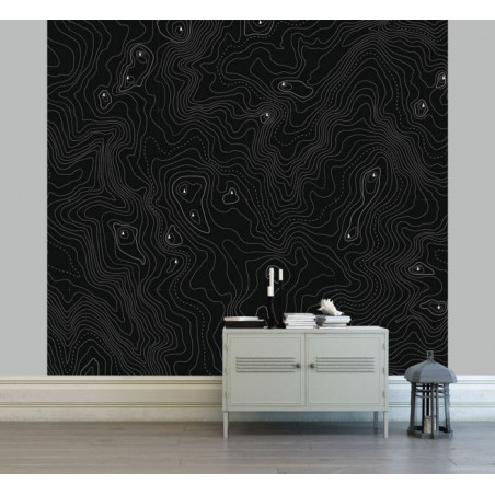 CONTOUR LINES Wallpaper