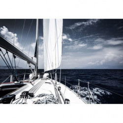 OCEAN RACING Canvas print