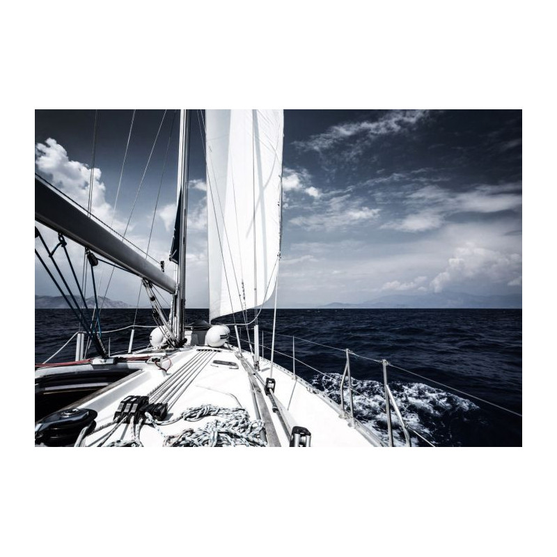 OCEAN RACING Canvas print - Nature landscape