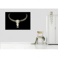 BUFFALO SKULL canvas print