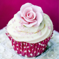 CUP CAKE canvas print