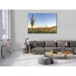 SORONA DESERT canvas print