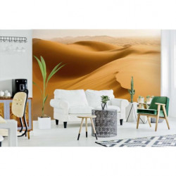 SAHARA DESERT Poster