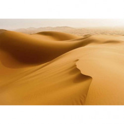 SAHARA DESERT Canvas print