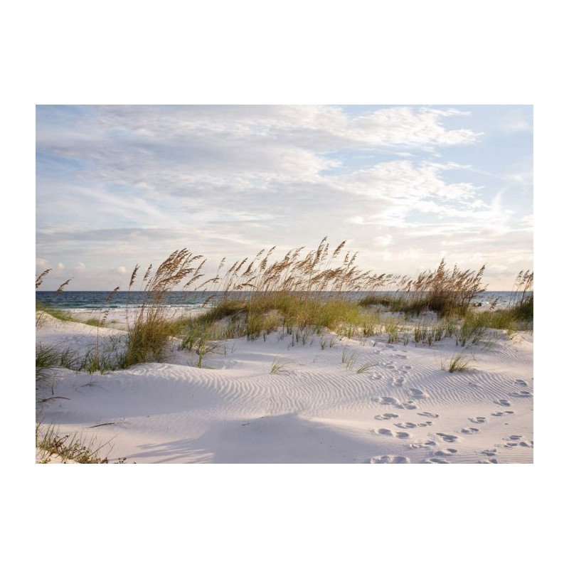 OCEAN SCENE Canvas print - Xxl canvas prints