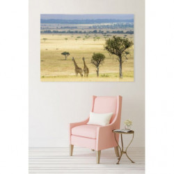 GENTLE SAVANIA canvas print