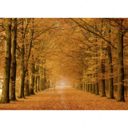 ALLEE CAVALIERE canvas print