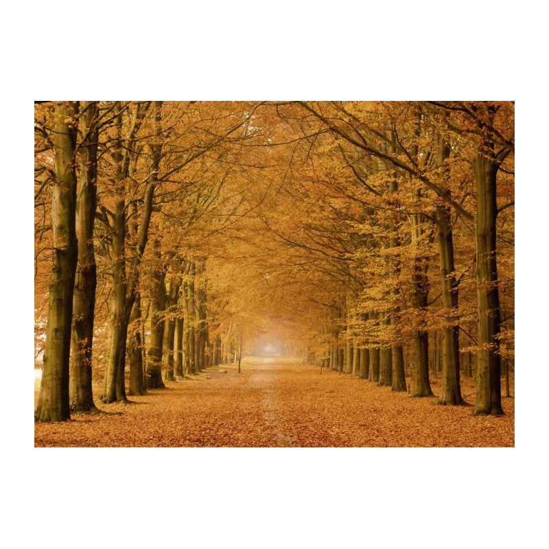 ALLEE CAVALIERE canvas print - Xxl canvas prints