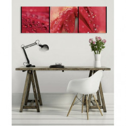 ECLAT canvas print