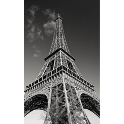 EIFFEL TOWER privacy screen