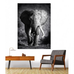 LONE ELEPHANT Canvas print