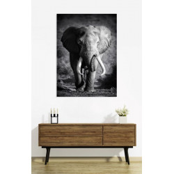 LONE ELEPHANT Canvas print