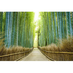 BAMBOO ALLEY Wallpaper