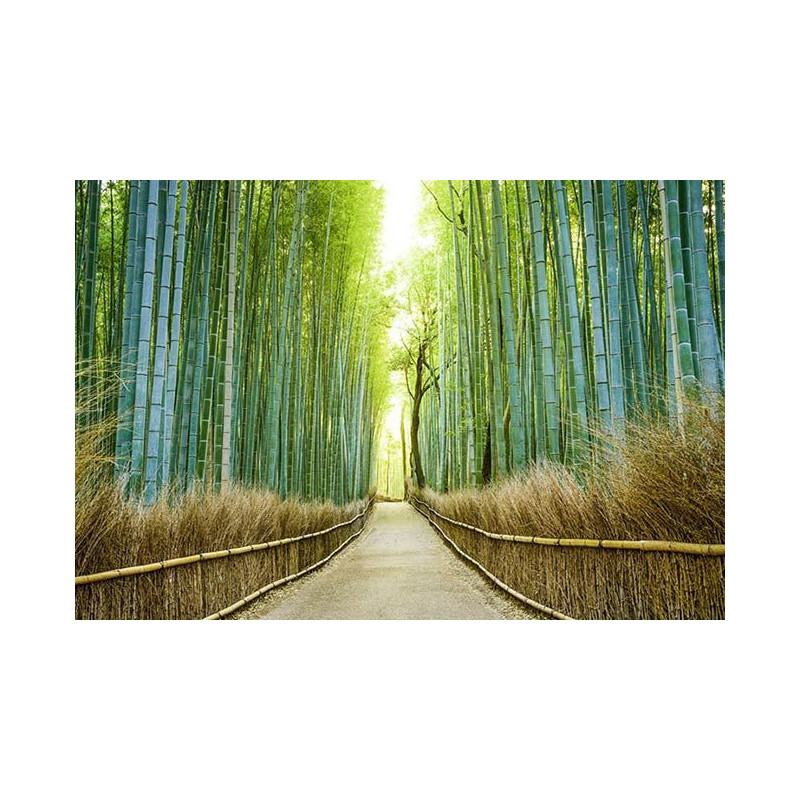 BAMBOO ALLEY Wallpaper - Panoramic wallpaper