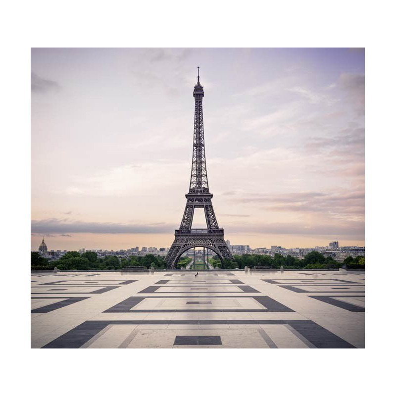 Poster ESPLANADE TROCADERO - Poster paris