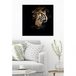 EYES OF A TIGER canvas print