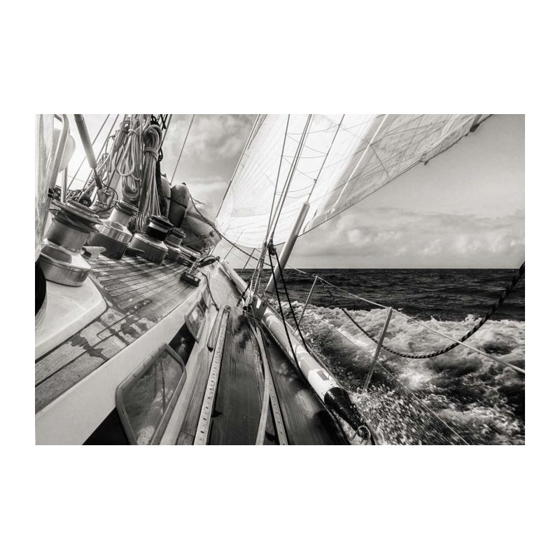 FASTNET Poster - Panoramic poster