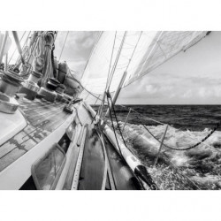 FASTNET Canvas print