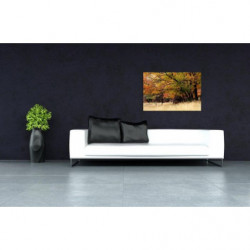 FAUVE canvas print