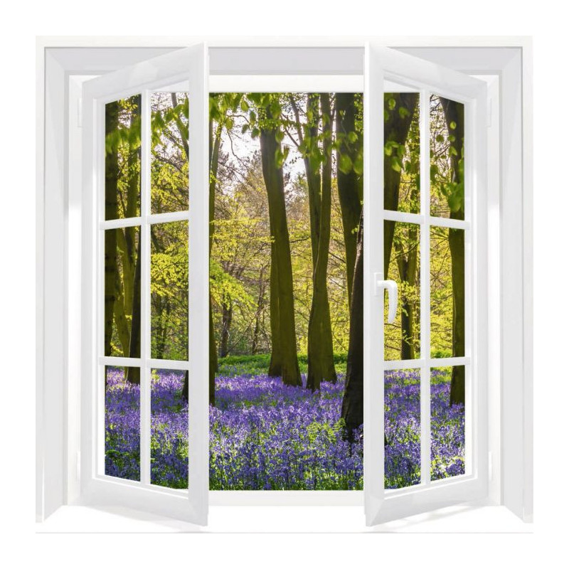 WINDOW ON THE HYACINTH FOREST Canvas print