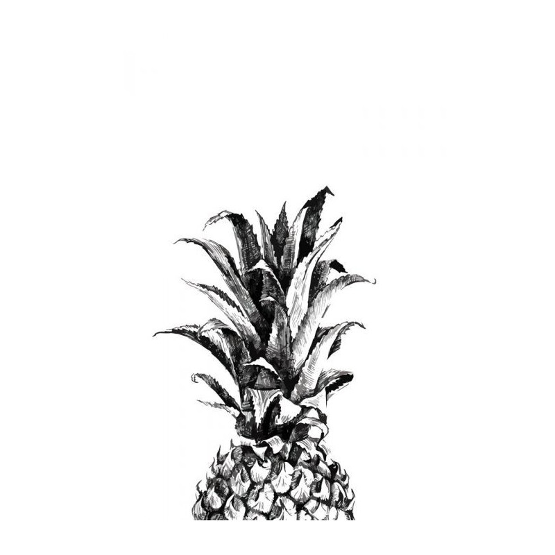 BLACK AND WHITE PINEAPPLE canvas print - Xxl canvas prints