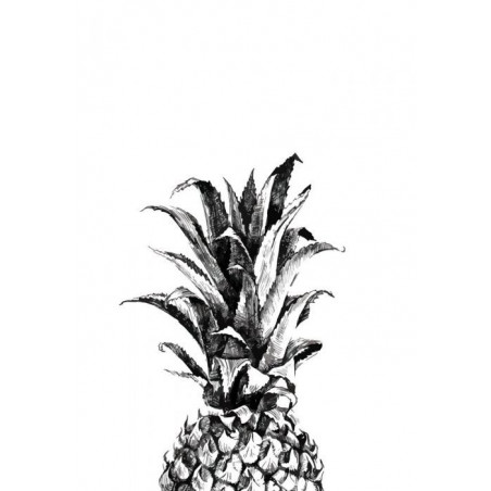 Tableau ANANAS BLACK AND WHITE