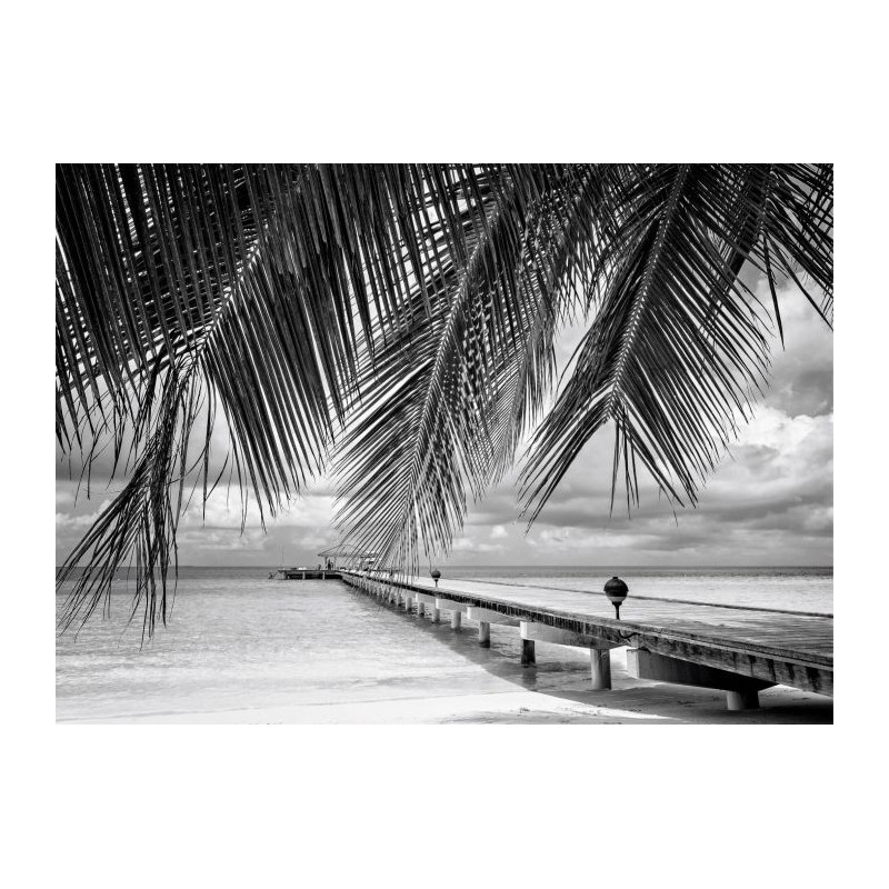 FIDJI B&W Canvas print - Canvas print for office