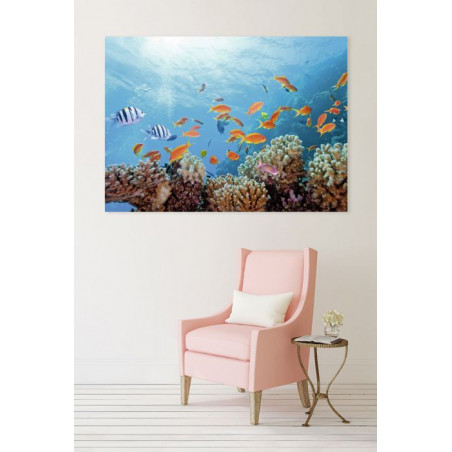 SEABED Canvas print